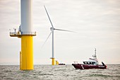 Walney Offshore Windfarm,UK