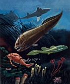 Prehistoric fish,illustration