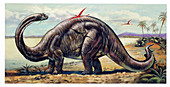 Apatosaurus with pterosaurs,illustration