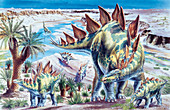 Stegosaurus dinosaurs,illustration