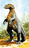 Kritosaurus dinosaur,illustration