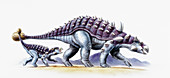Ankylosaurus and young,illustration