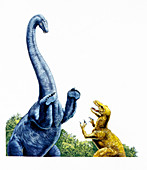 Diplodocus defending itself,illustration