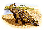 Talarurus dinosaur,illustration