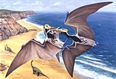 Tropeognathus pterosaur,illustration