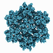 HIV-1 capsid structure