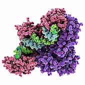 HIV-1 reverse transcriptase enzyme