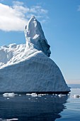 Iceberg,Greenland