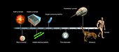 Evolution of Earth timeline,illustration