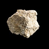 Sample of limestone