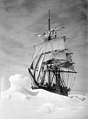Terra Nova in Antarctic pack ice,1910
