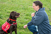 Diabetes alert assistance dog and owner