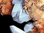 Quartz crystals,SEM