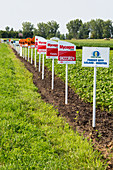 Genetically modified crop signs