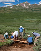 Volunteers maintaining hiking trail