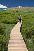 Mount Bierstadt hiking trail