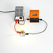 Simple light bulb circuit