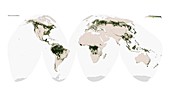 Global forest cover,satellite image