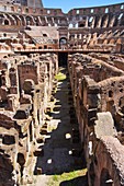 Roman Colosseum hypogeum