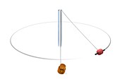 Gravity vs centripetal force
