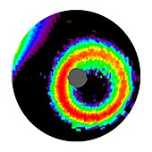 Geomagnetic storm,computer model
