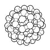 Buckminsterfullerene molecule