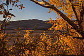 Great Sand Dunes National Park,USA