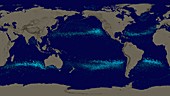 Drifting ocean garbage,global simulation