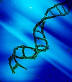 DNA molecule,illustration