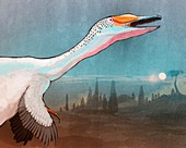 Austroraptor dinosaur,illustration