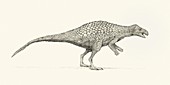 Zalmoxes dinosaur,illustration
