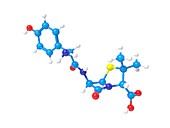 Amoxicillin molecule,Illustration