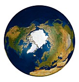 The Arctic from space,illustration