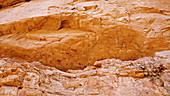 Prehistoric rock paintings,Chad