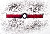 Magnetic field with iron filings