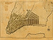 Map of New York City,19th century