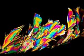 Dopamine drug crystals,light micrograph