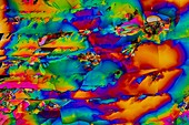 Dopamine drug crystals,light micrograph