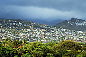 Suburb of Honolulu,Hawaii