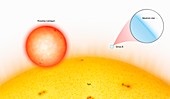 Sun compared to small stars