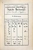 Hieroglyphics research,1824