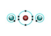 Bond formation in water molecule