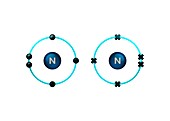 Bond formation in nitrogen molecule