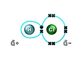 Polar bond in hydrogen chloride molecule