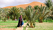 Oasis maintenance,Morocco