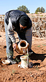 Desertification prevention,Morocco