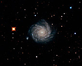 Spiral galaxy NGC 1232