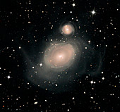 Spiral galaxy NGC 1316