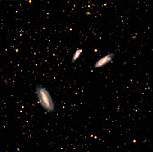 Grus interacting galaxies