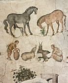 Domestic animals mozaic